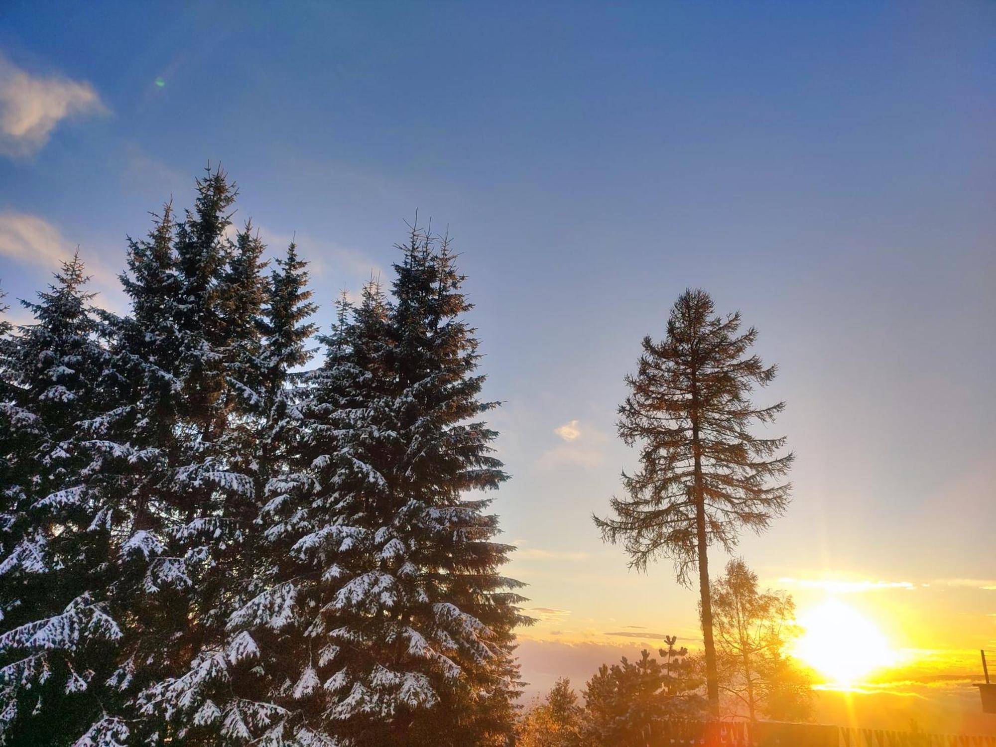 Nature Living Koralm - Neue Chalets Auf Der Koralpe Im Schi- Und Wanderparadies Sankt Stefan im Lavanttal Zewnętrze zdjęcie