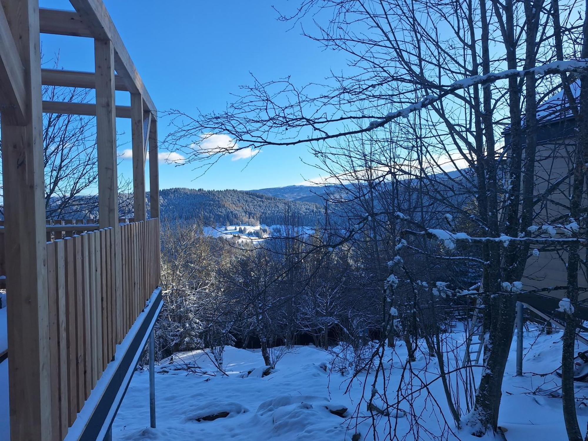 Nature Living Koralm - Neue Chalets Auf Der Koralpe Im Schi- Und Wanderparadies Sankt Stefan im Lavanttal Zewnętrze zdjęcie